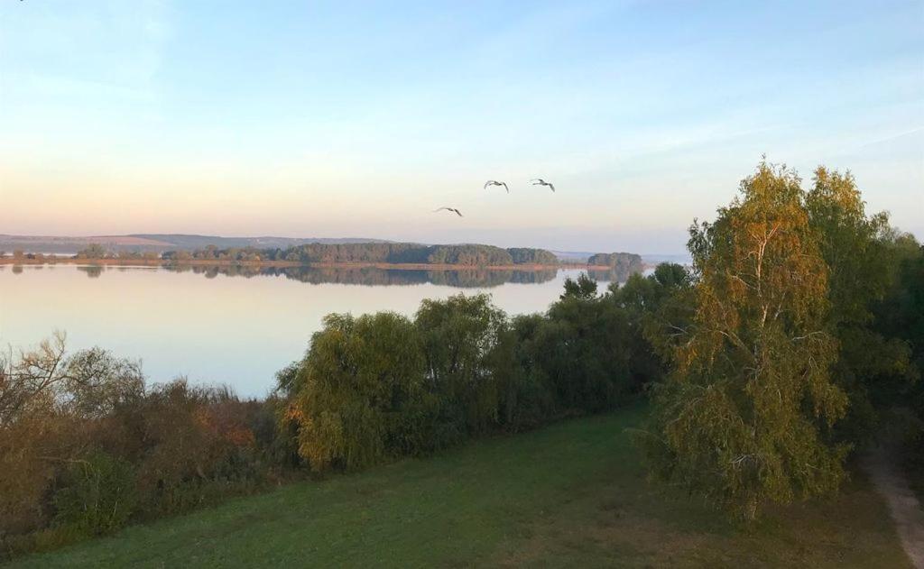 Omega Villa Badacsonytomaj Buitenkant foto