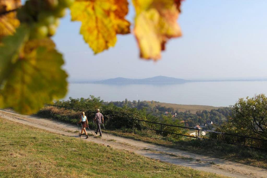 Omega Villa Badacsonytomaj Buitenkant foto